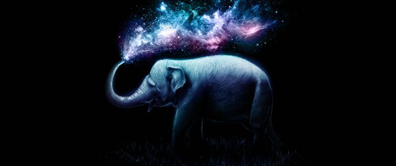 Elephant, Colorful, Surreal, AMOLED, Black background, 5K, 8K
