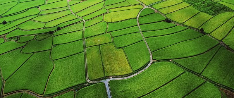 Agriculture, Farm Land, Countryside, Aerial view, Green, Landscape, OS X Mountain Lion, Stock