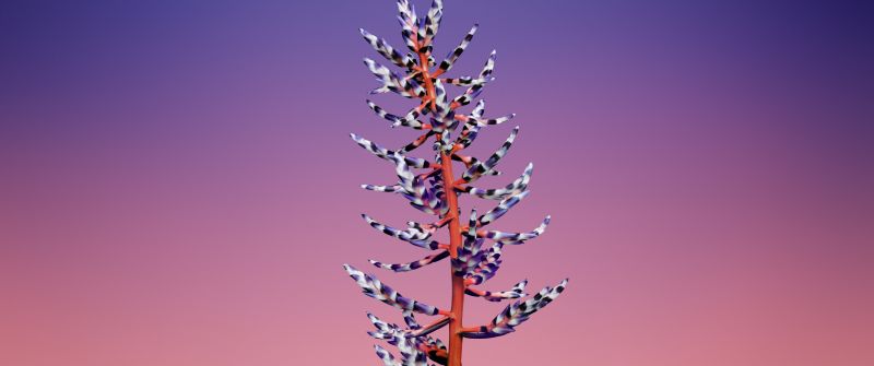 macOS Mojave, Stock, Floral, Gradient background, iOS 11, Aesthetic, 5K