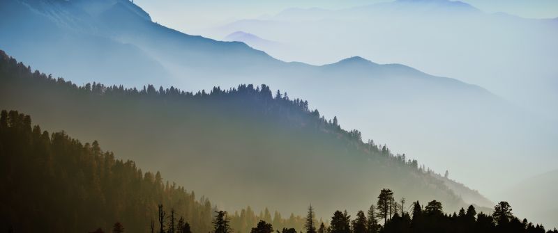 Mac OS X, Mountains, Forest, Hills, Foggy, Morning, Stock, 5K
