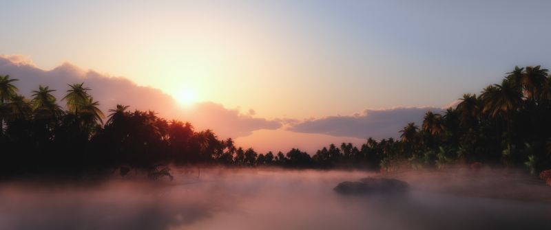 Sunrise, Palm trees, Mist, Foggy, Tropical, Body of Water, Landscape, Clouds, Scenery
