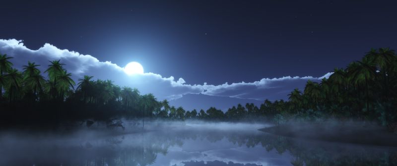 Moon light, Night time, Palm trees, Body of Water, Reflection, Stars, Clouds