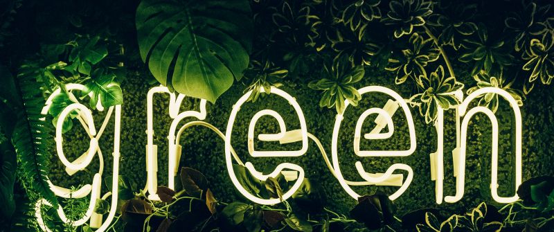 Green, Neon sign, Plant, Illuminated, Leaves