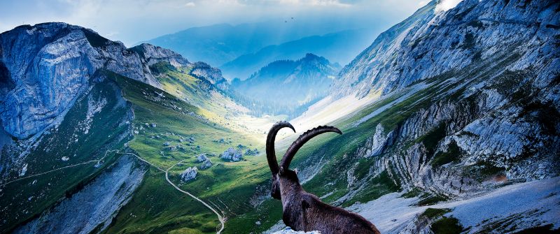 Mount Pilatus, Goat, Landscape, Valley, Clouds, Sunlight, Scenic