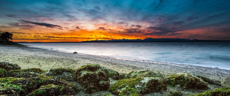 Alki Beach, West Seattle, Washington, Seascape, Sunset Orange, Long exposure, Green Moss, Rocky coast, Beach, Horizon
