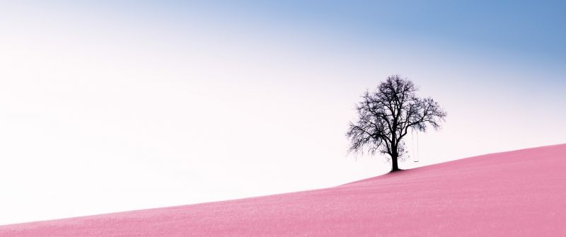 Solitude Tree, Clear sky, Landscape, Surreal, Pink Sand, Desert, Swing, Scenery, 5K, 8K