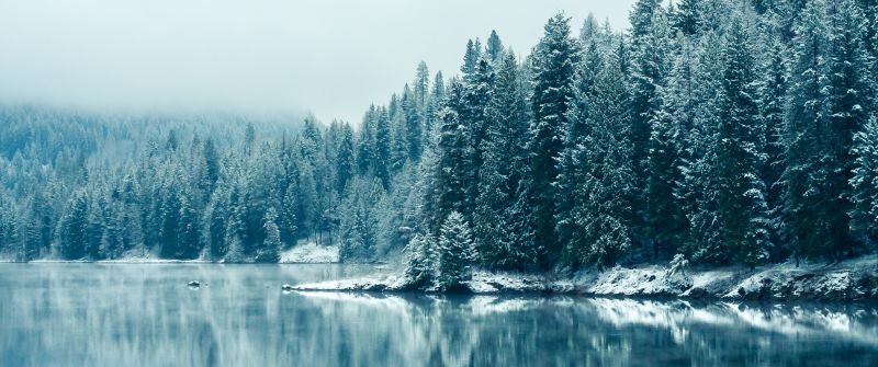 Kootenay River, Snowfall, British Columbia, Canada, Forest, Winter, Snowy Trees, Mirror Lake, Reflection, Landscape, Misty, Early Morning