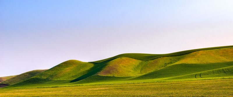 Great Field Dunes, Green Meadow, Landscape, Scenery, Beautiful, Clear sky