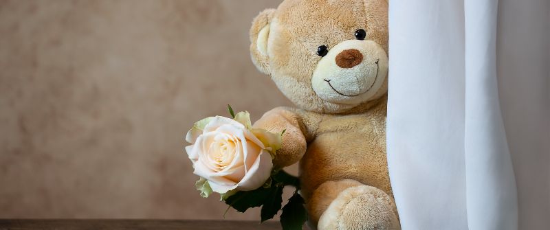 Teddy bear, Rose, Cute toy, Gift, Valentine's Day, 5K