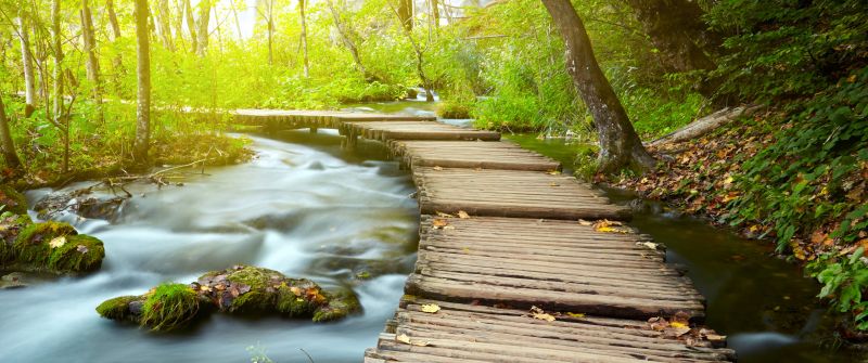 Wooden pier, Forest, Green Trees, Water Stream, Long exposure, Greenery, Woods, Scenery, 5K, 8K