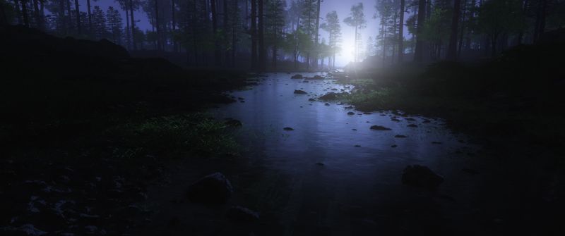 Dark Forest, Water Stream, Trees, Landscape, Woods, Night time