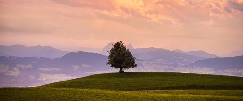 Solitude Tree, Green Meadow, Landscape, Cloudy Sky, Mountains