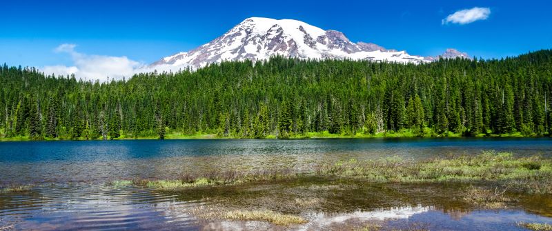 Mount Rainier National Park, Washington State, Landscape, Lake, Reflection, Green Trees, Clear sky, Blue Sky, Glacier mountains, Snow covered, Scenery