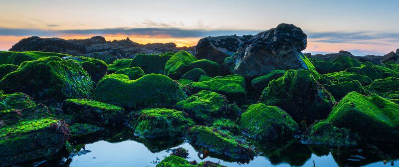 Seashore, Green Rocks, Sunset