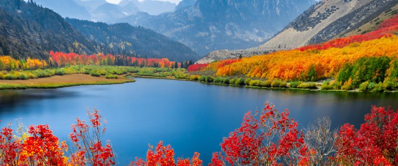 Autumn trees, Lake, Mountain range, Daytime, Landscape, Long exposure, Scenery, Beautiful, 5K