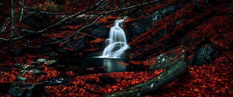 Waterfalls, Autumn, Dark Forest, Foliage, Woods, Red leaves, Fallen Leaves, Water Stream, Scenic, 5K