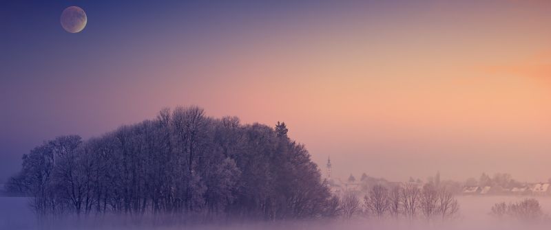Winter, Aesthetic, Morning, Foggy, Moon, Landscape, Cold, 5K