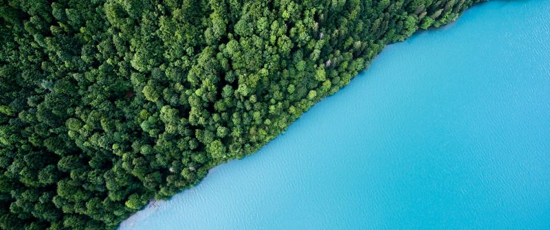 Green Forest, Aerial view, Trees, Body of Water, Turquoise water, Greenery, Landscape, Scenic, Beautiful, Shore