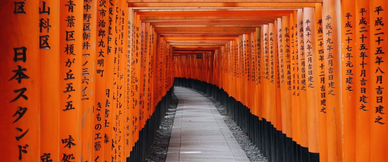 Fushimi Inari Taisha, Shrine, Kyoto, Japan, Orange, Torii Pass