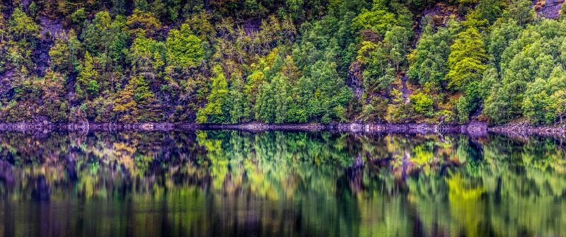 Rainforest, Cliff, Rock, Trees, Lake, River, Forest, Reflection, Norway, 5K
