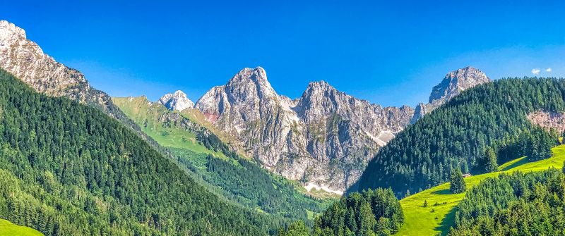 Alps mountains, Mountain range, Summer, Sunny day, Forest, Clear sky, Blue Sky, Landscape, Switzerland