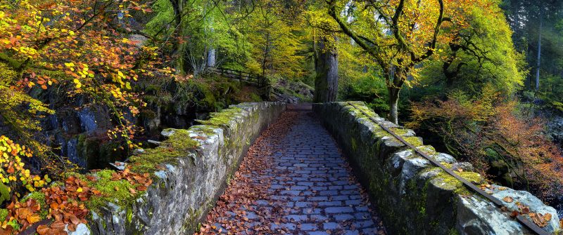 Old Bridge Over River Braan, Hermitage, Dunkeld, Scotland, Autumn trees, Fallen Leaves, Scenery, Pathway, 5K