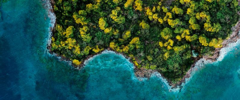 Fantasy Island, Aerial view, Forest, Ocean, 2020, 5K