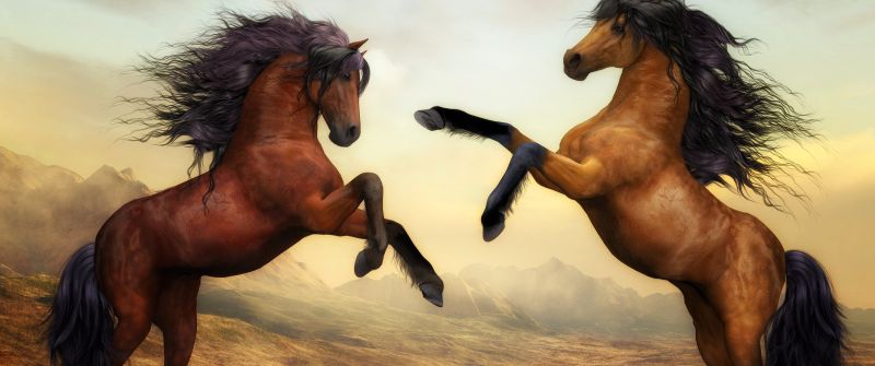 Wild Horses, Pair, Brown Horses, Stallion, Digital paint, Mane, Beautiful, Brown aesthetic