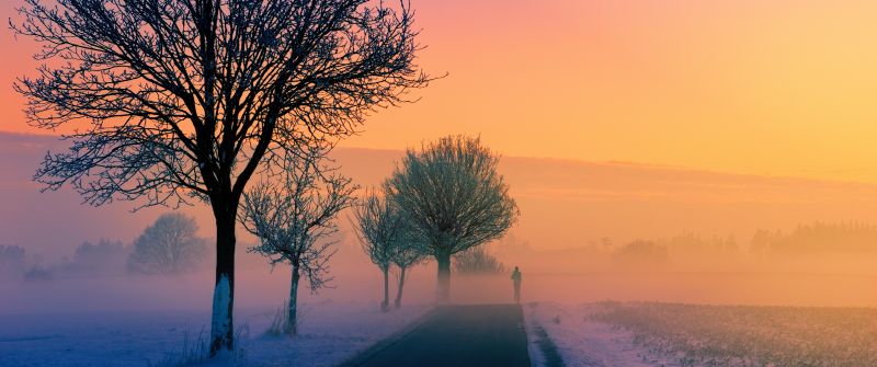 Golden hour, Foggy, Sunrise, Morning, Winter, Road, 5K