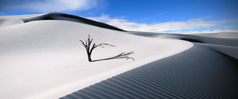 Sand Dunes, Lone tree, Desert, Blue Sky, Landscape, Digital composition, Aesthetic