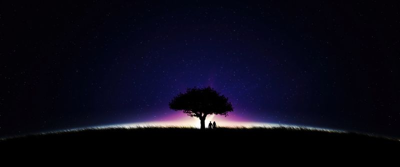 Couple, Stars in sky, Night, Romantic, Dark Sky, Lone tree, Silhouette, Together, Starry sky