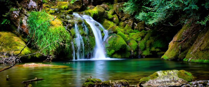 Tropical forest, Waterfall, Green, Landscape, France