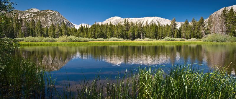 Lake, Scenery, Mountains, Forest, Sunny day, Summer, Reflections, Body of Water, Landscape, Blue Sky