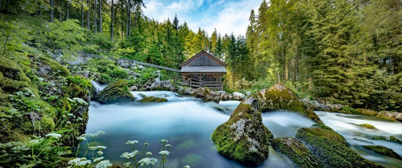 Gollinger Mill, Panoramic, Austria, Flowing Water, Gollinger Wasserfall, Famous Place, Forest, Greenery, Landscape, Green Moss, 5K, 8K