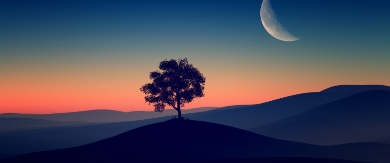 Solitude Tree, Crescent Moon, Silhouette, Sunset, Dusk, Gradient, Landscape, Scenic, Clear sky