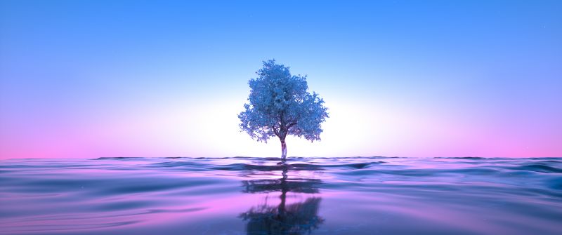 Tree, Neon, Body of Water, Reflection, Clear sky, Pink, Blue