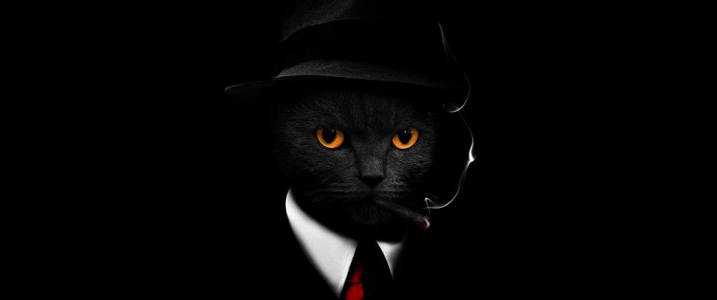 Black Cat, Black background, Hat, Suit, Cigar, Scary