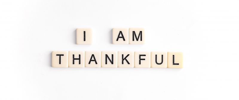 Happy Thanksgiving, Thankful, Thanksgiving Day, White background, 5K