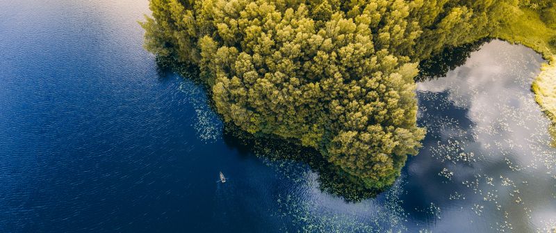 Green Forest, Trees, Aerial view, Body of Water, Birds eye view, Lake, Landscape