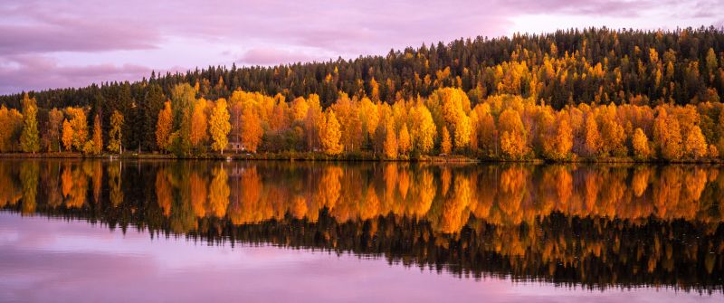 Autumn trees, 8K, Forest, Pink sky, Sunset, Reflection, Mirror Lake, Beautiful, Scenery, 5K