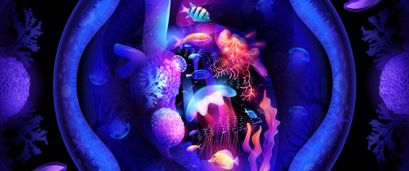 Neon, Under the Sea, Heart, Ocean, Aquarium, Jellyfishes