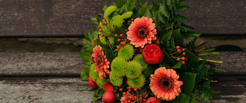 Bunch of Flowers, Gerbera Daisy, Floral, Spring flowers, Blossom, 5K