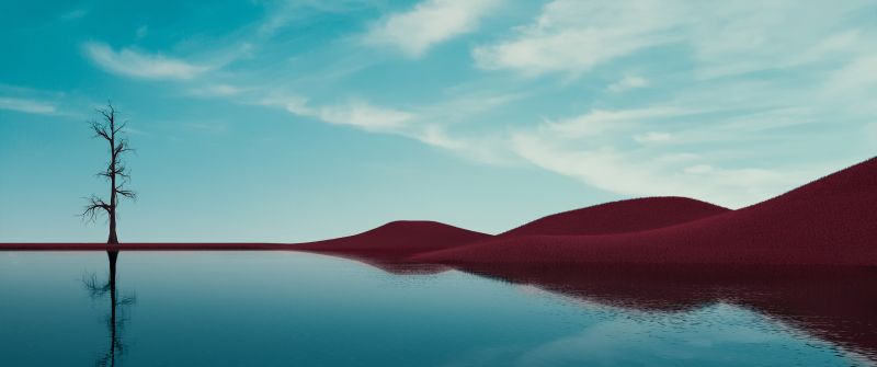 Lone tree, Lake, Dry fields, Clear sky, Reflections, Landscape, Summer, Fusion