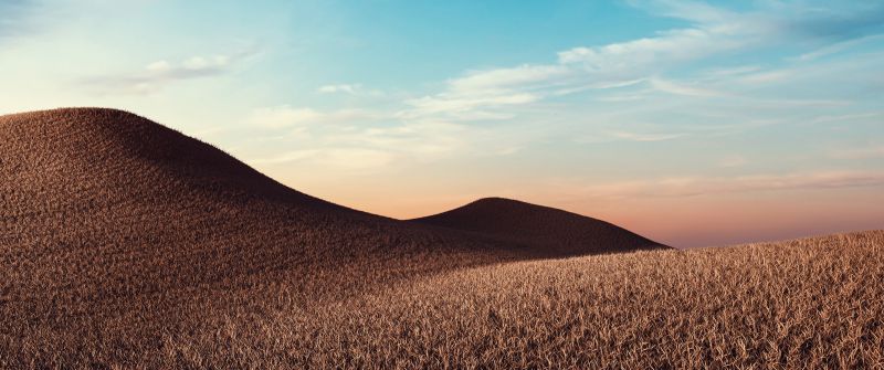 Dry fields, Sunny day, Summer, Landscape