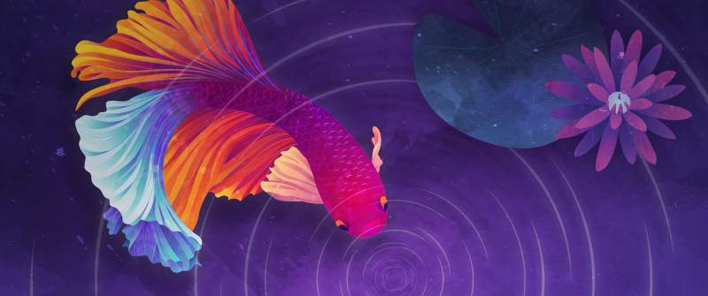 Colorful fish, Ripple, Purple background, Girly backgrounds