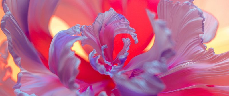 Purple Flower, Floral Background, Colorful, Digital Art