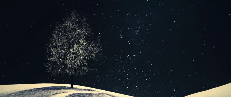Lone tree, Crescent Moon, Night, Starry sky, Night sky, Winter, Cold, Surreal, 5K