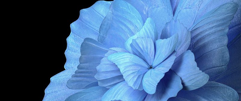 Floral Background, Blue background, Black background, Vivo Pad, Stock