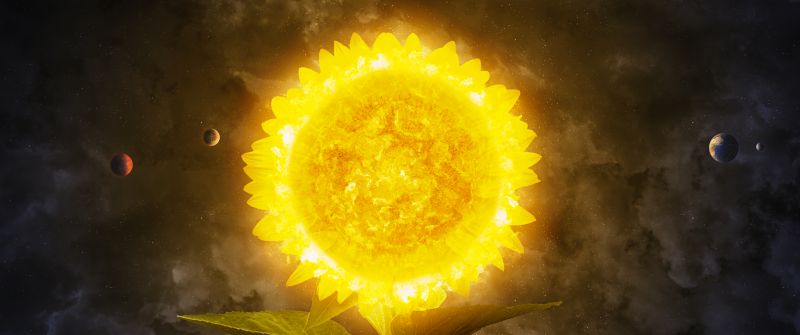 Solar system, Sunflower, Planets, Concept Art, 5K, 8K