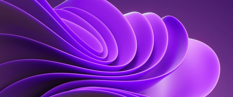 3D background, Windows 11, Purple background, Abstract background